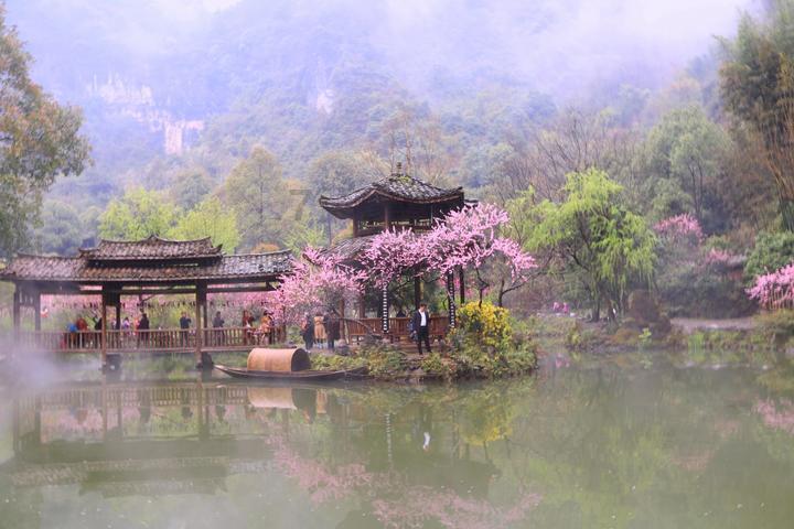 逃离废弃的卡车场